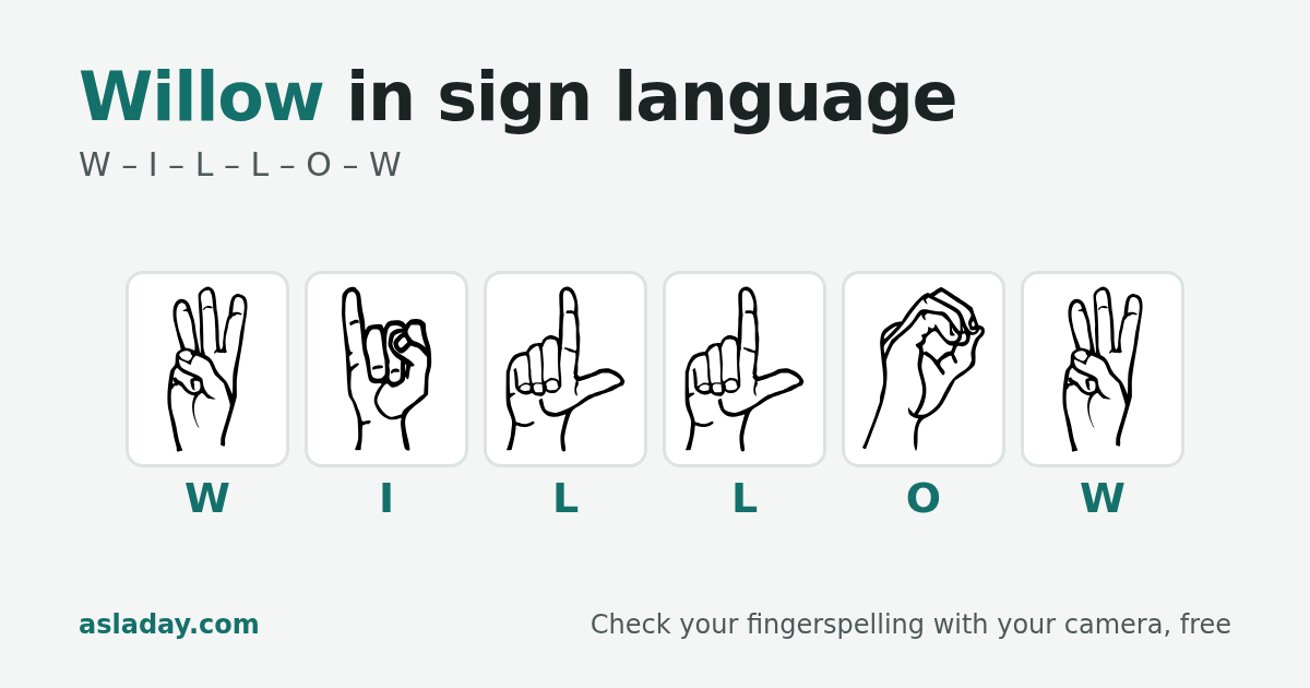 Willow in sign language: W, I, L, L, O, W